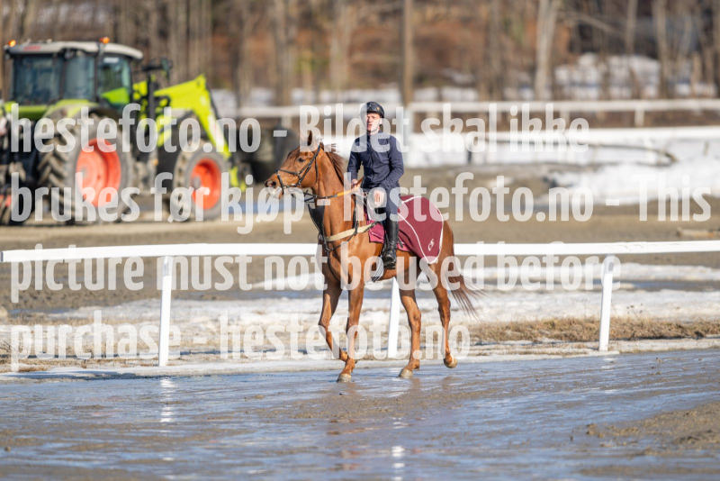 20240308-124746-DSC_7749