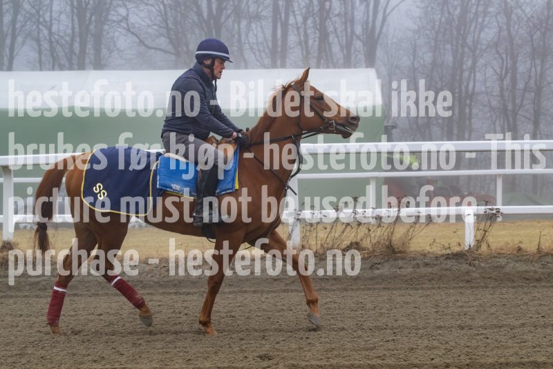 20250308-102918-DSC_0553