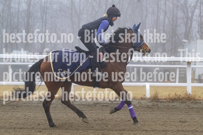 20250308-103006-DSC_0591