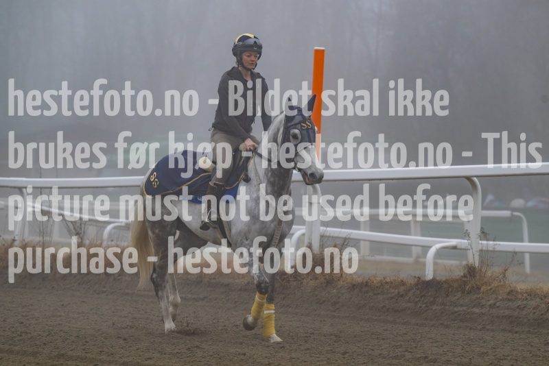20250308-103151-DSC_0633