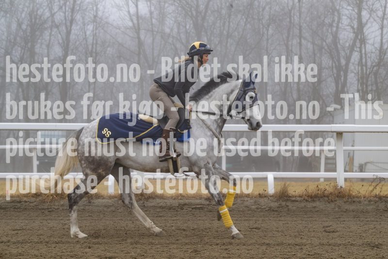 20250308-103156-DSC_0656