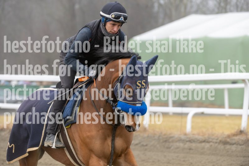 20250308-114359-DSC_1022