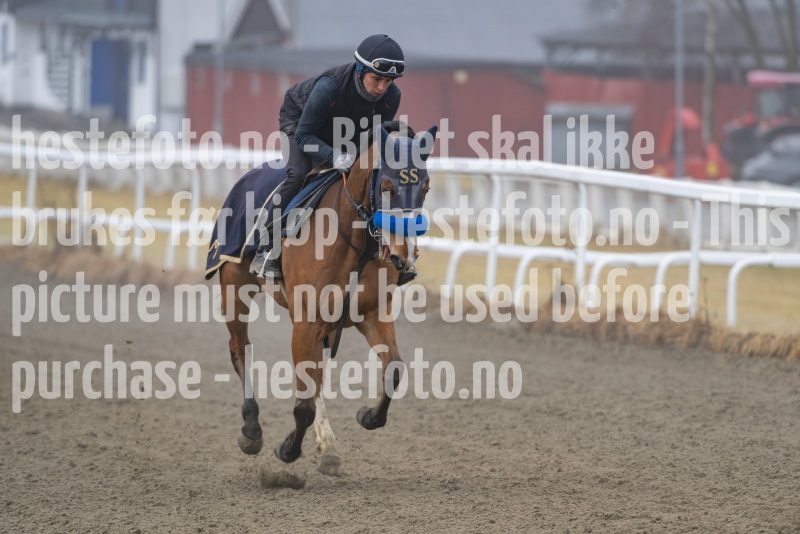 20250308-114737-DSC_1216
