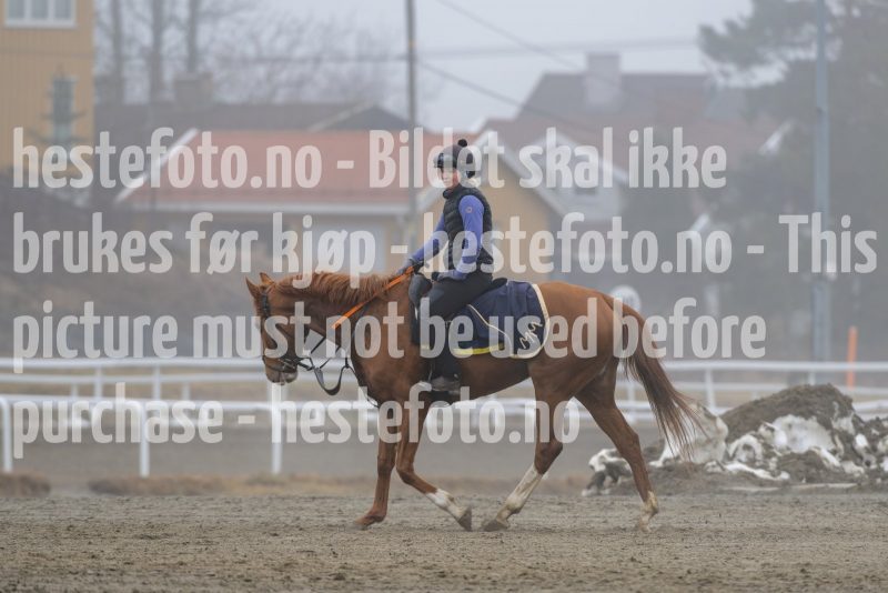 20250308-114919-DSC_1324