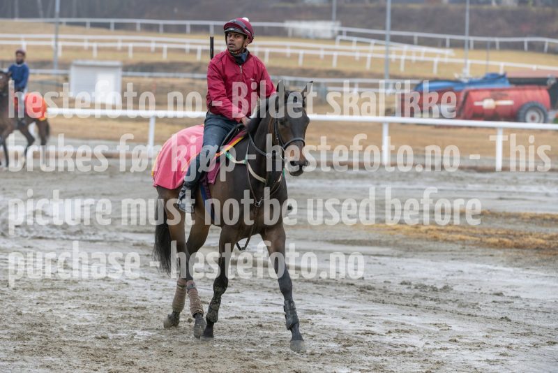 20250308-120151-DSC_1993