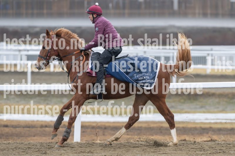 20250308-120331-DSC_2044