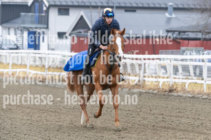 20250308-125925-DSC_2329