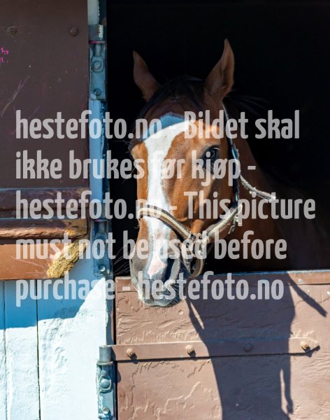 20210508-114510-EKE4608
