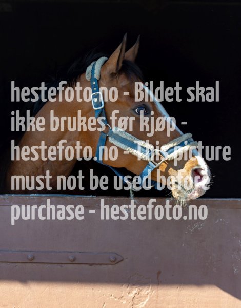 20210508-122859-EKE5273