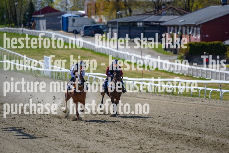 20210508-130836-DSC9520