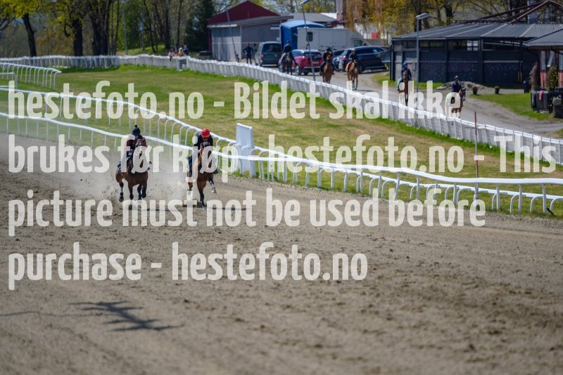 20210508-132135-DSC9679