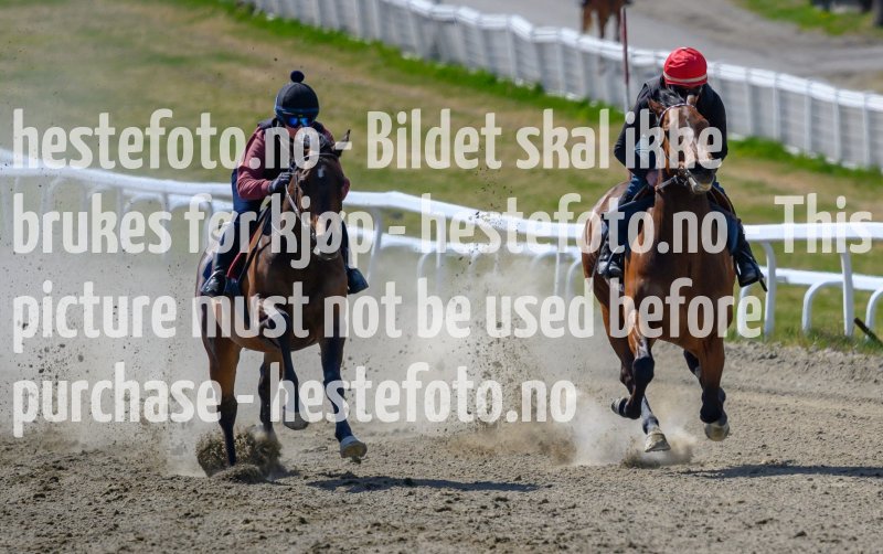 20210508-132138-crop-_DSC9685