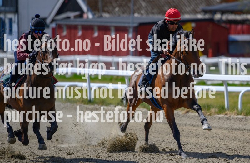 20210508-132140-crop-_DSC9697