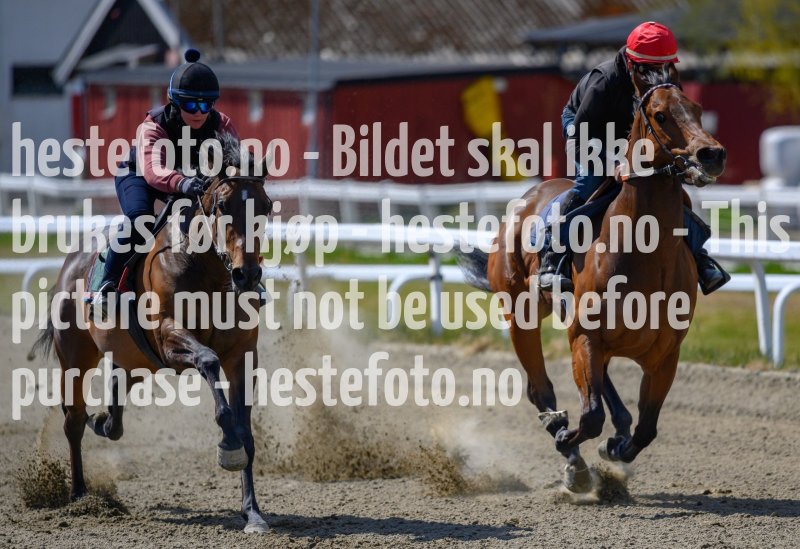 20210508-132140-crop-_DSC9698