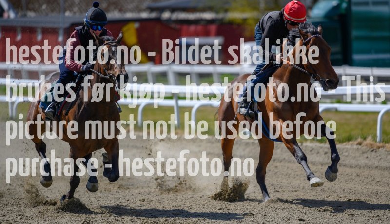 20210508-132140-crop-_DSC9699