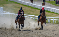 20210508-132137-crop-_DSC9684