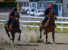 20210508-132139-crop-_DSC9693