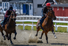 20210508-132139-crop-_DSC9695