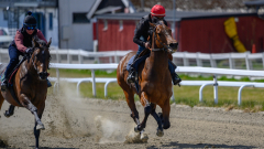 20210508-132140-crop-_DSC9696