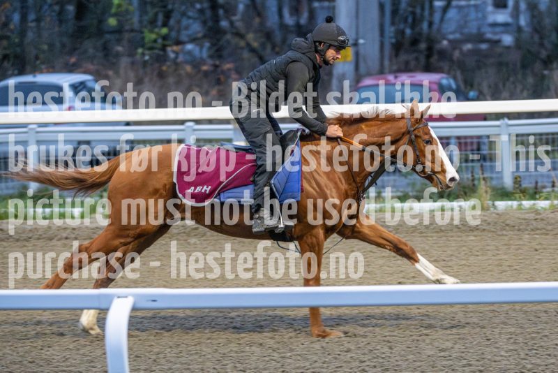 20251108-091733-DSC_6587