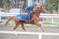20251108-104113-DSC_7768