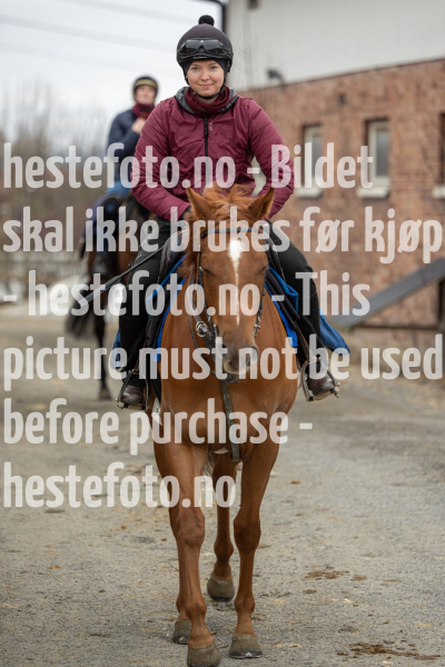20240309-093329-DSC9085