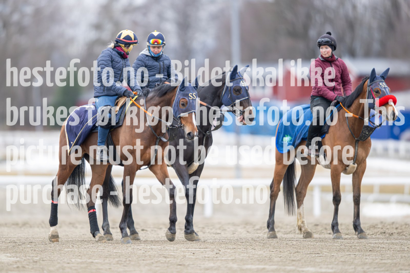 20240309-105618-DSC_0261