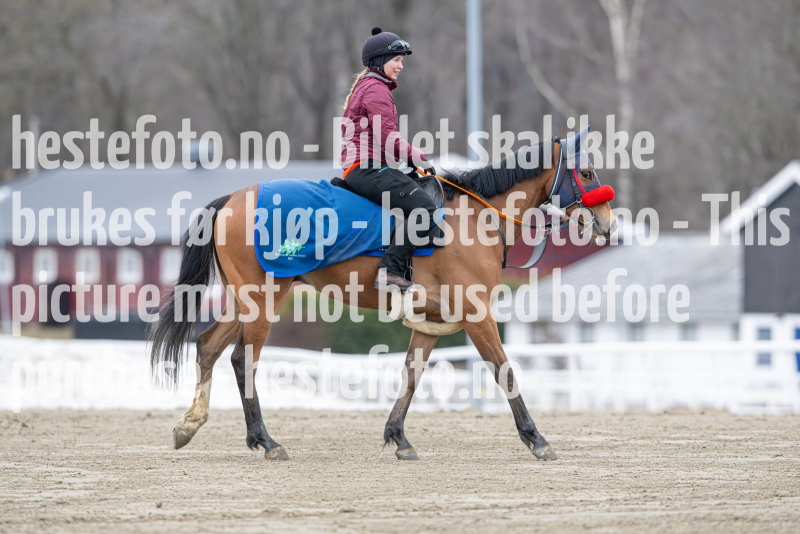 20240309-105632-DSC_0293