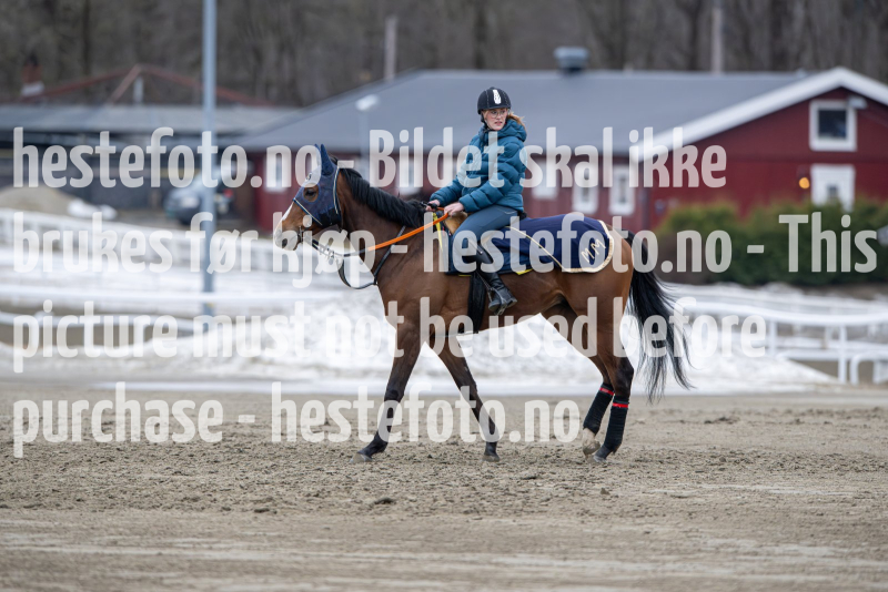 20240309-105755-DSC_0316