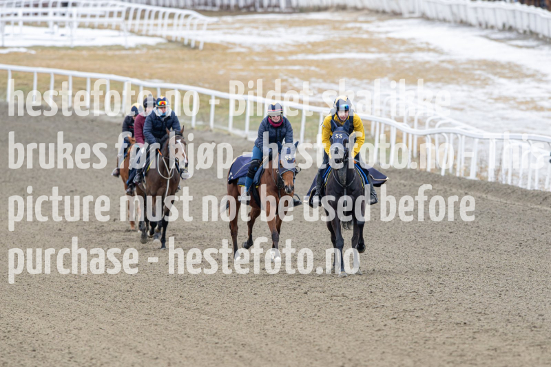 20240309-114639-DSC_1094