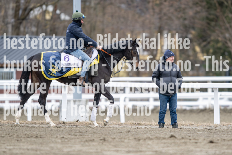 20240309-115144-DSC_1371