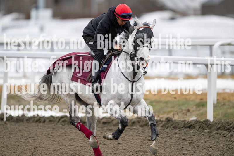 20240309-115524-DSC_1659