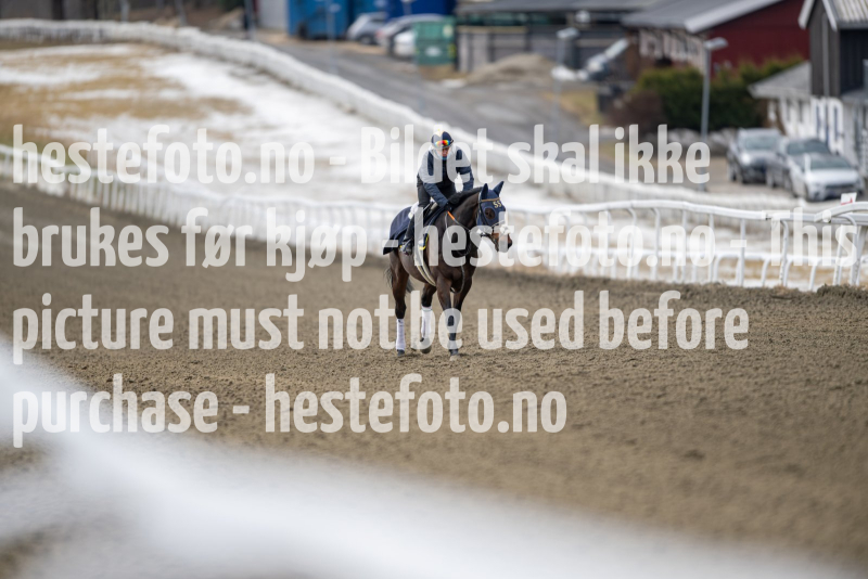 20240309-124138-DSC_1847