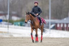 20240309-095006-DSC_9559