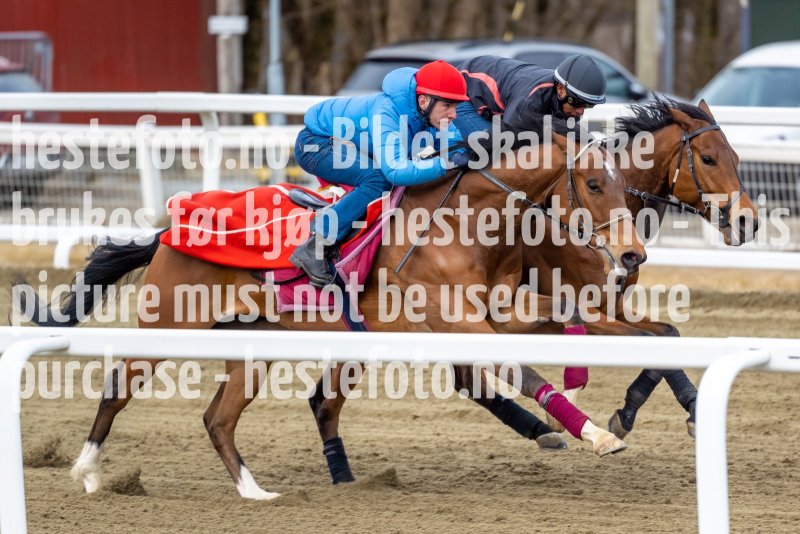 20220409-094852-DSC7878