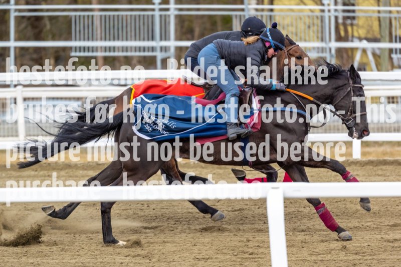 20220409-094949-DSC7922