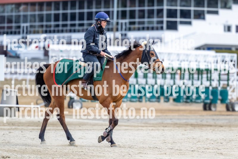 20220409-110053-DSC8063