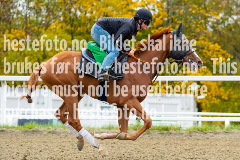 20211009-114843-DSC1101