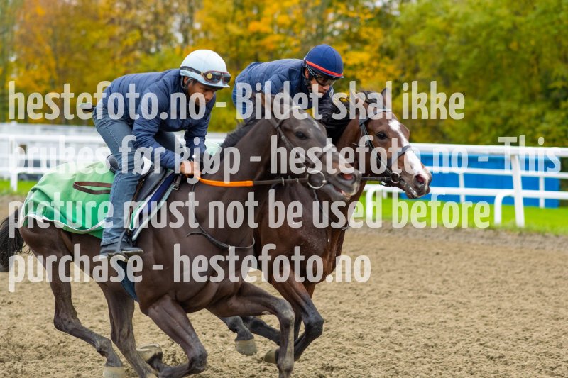 20211009-115007-DSC1116