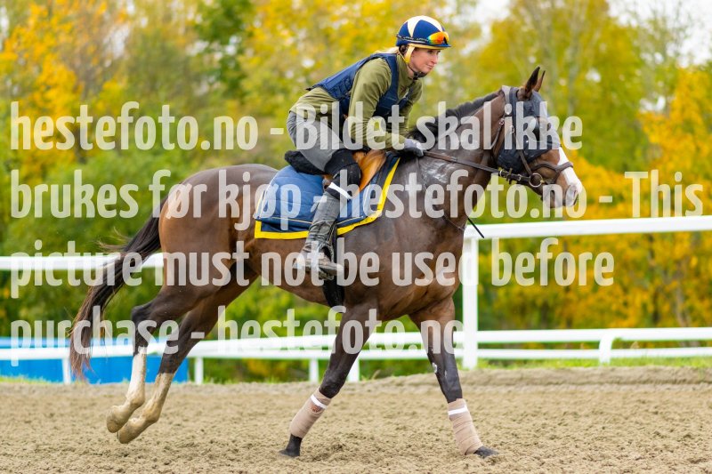 20211009-124904-DSC1398
