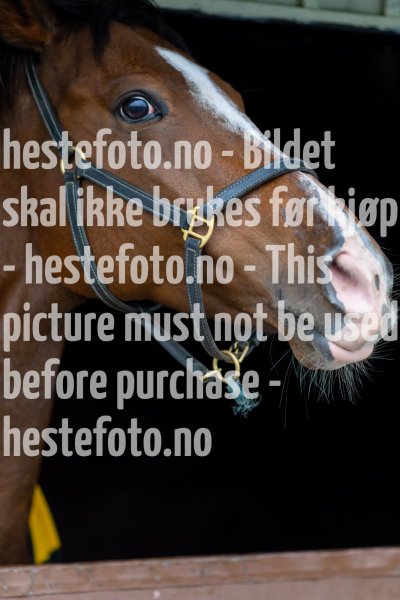 20211009-130442-DSC1519