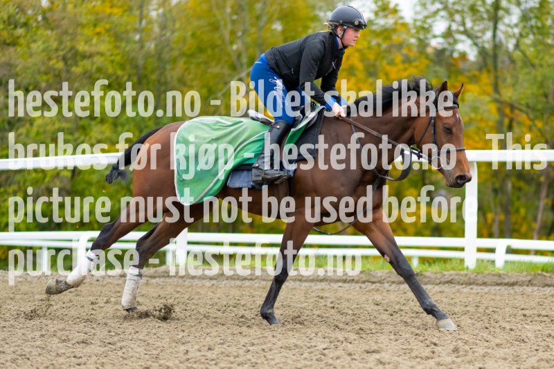 20211009-133145-DSC1735