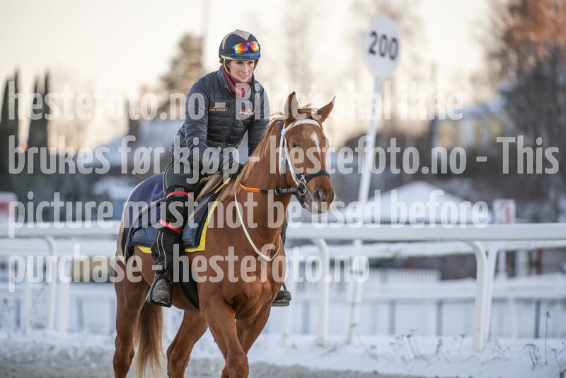 20260110-104423-DSC_7777