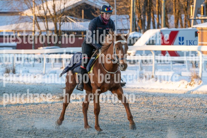 20260110-104708-DSC_7873