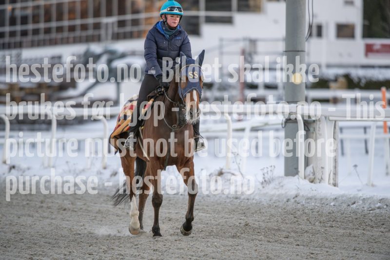 20260110-105014-DSC_7931