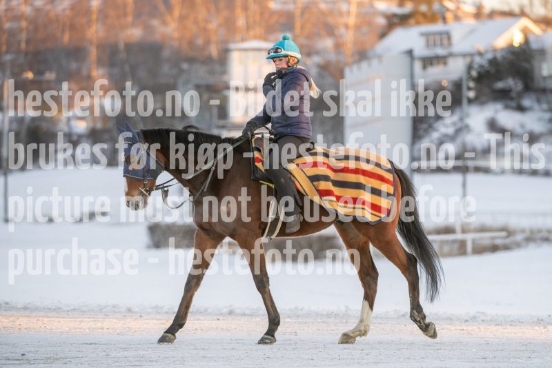 20260110-105122-DSC_7975