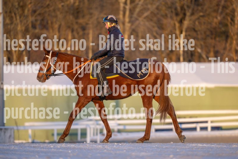 20260110-105207-DSC_8097