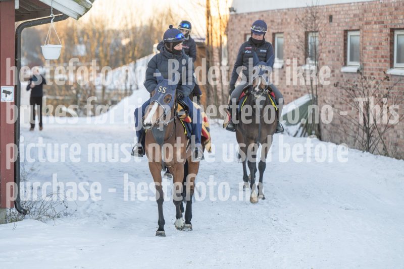 20260110-112846-DSC_8242