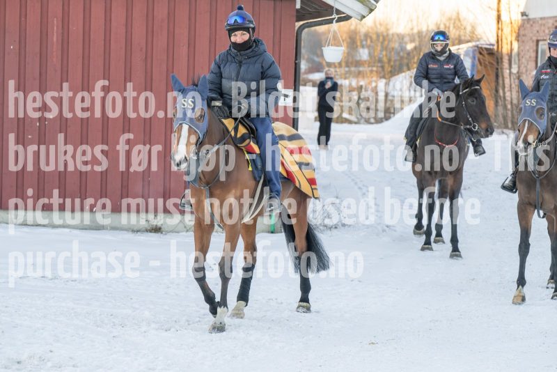 20260110-112851-DSC_8259