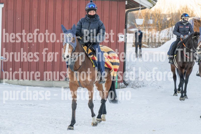 20260110-112852-DSC_8262